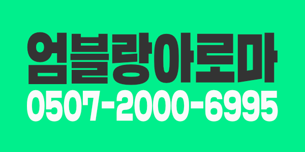 건전 마사지 남여 관리사 구함.