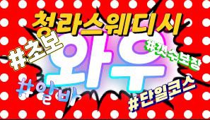 최고.페이!!50분단11~13[갯수확실][초보][알바][경력자]환영Call Me
